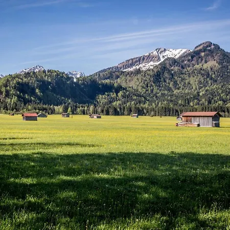 Wiesenblick