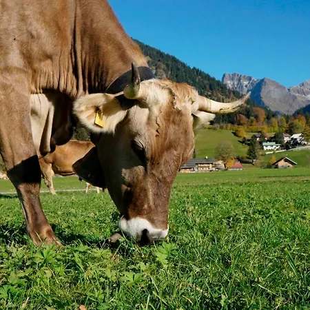 Wiesenblick *